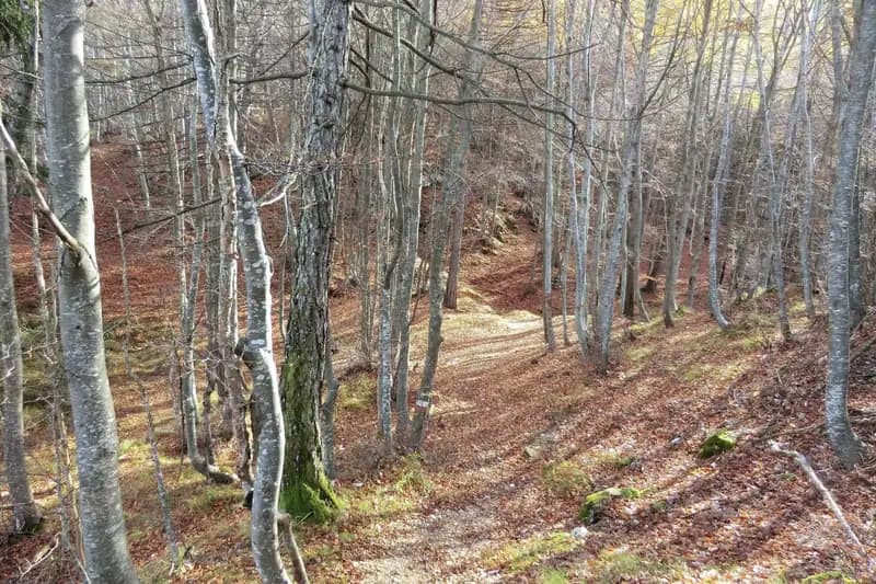via ferrata Sentiero Attrezzato Bertotti
